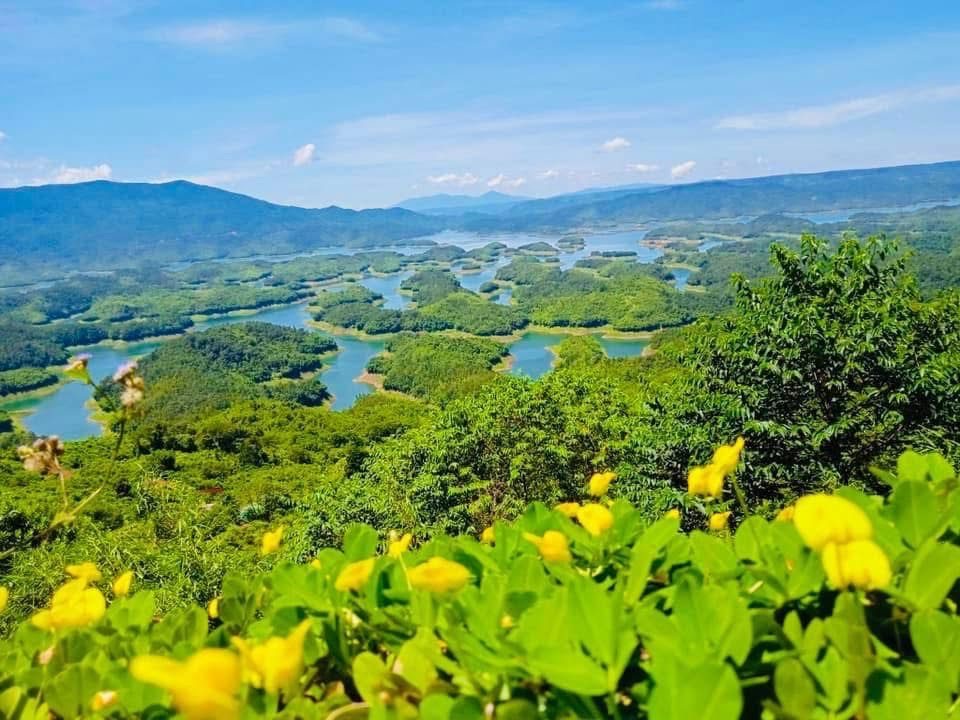 Hoa vàng và vườn cây trên đồi nhìn xuống vùng hồ Tà Đùng